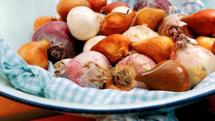 Bald ist Pflanzzeit: Die Zwiebeln der frühblühenden Krokusse, Schneeglöckchen und Tulpen kommen bis November in die Erde. (Bild: IZB/dpa/tmn) Bald ist Pflanzzeit: Die Zwiebeln der frühblühenden Krokusse, Schneeglöckchen und Tulpen kommen bis November in die Erde. (Bild: IZB/dpa/tmn)