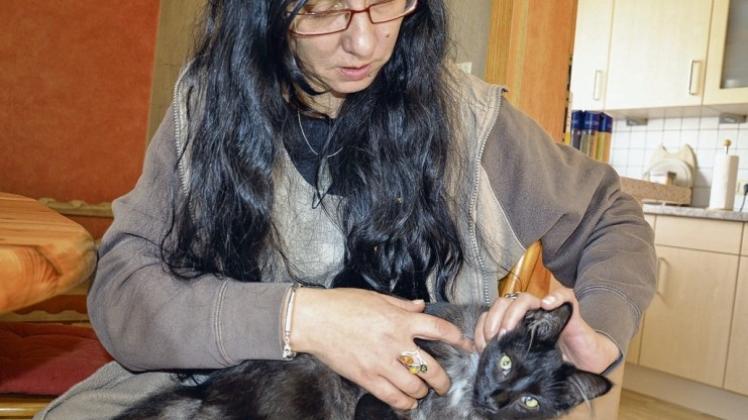 Monika Bülth-Lamping mit ihrer norwegischen Waldkatze Penelope, der eine Luftgewehr-Kugel im Muskelgewebe steckt Eventuell droht eine Operation. Monika Bülth-Lamping mit ihrer norwegischen Waldkatze Penelope, der eine Luftgewehr-Kugel im Muskelgewebe steckt Eventuell droht eine Operation.