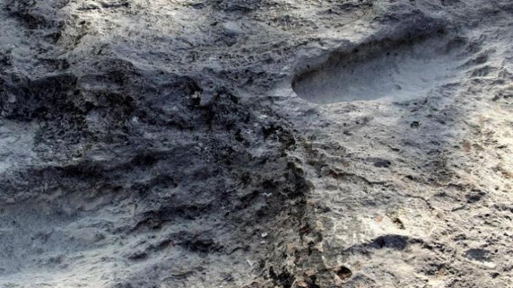 Fußabdrücke aus der Frühzeit. Insgesamt wurden die Spuren von vier Erwachsenen und einem Kind gefunden.