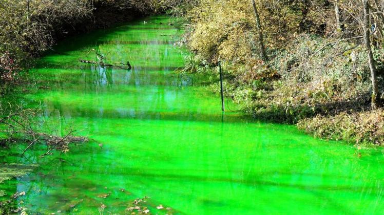 Leuchtend grünes Wasser – ähnlich wie in diesem Beispiel – rief in Halstenbek am Freitagnachmittag und -abend die Polizei auf den Plan.