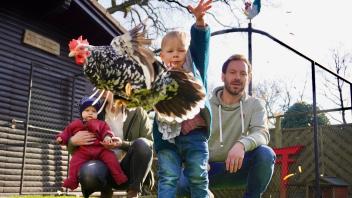 Familie Böhm aus Osnabrück mit flatterndem Huhn                               