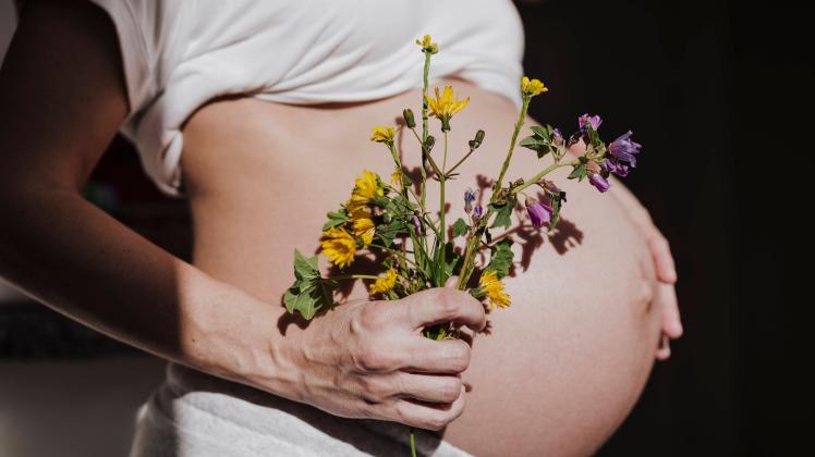 Pregnant woman holding flower touching abdomen against black background model released property released, EBBF05631