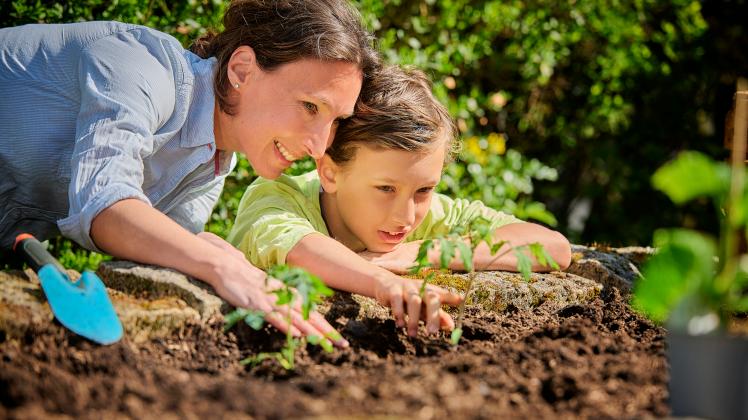 Son with mother looking at plant in garden model released Symbolfoto property released DIKF00579