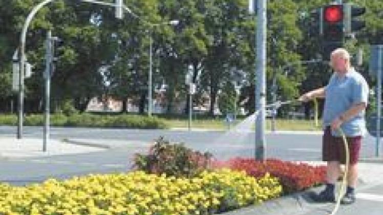 Farbtupfer durch 7000 Sommerblumen und NOZ