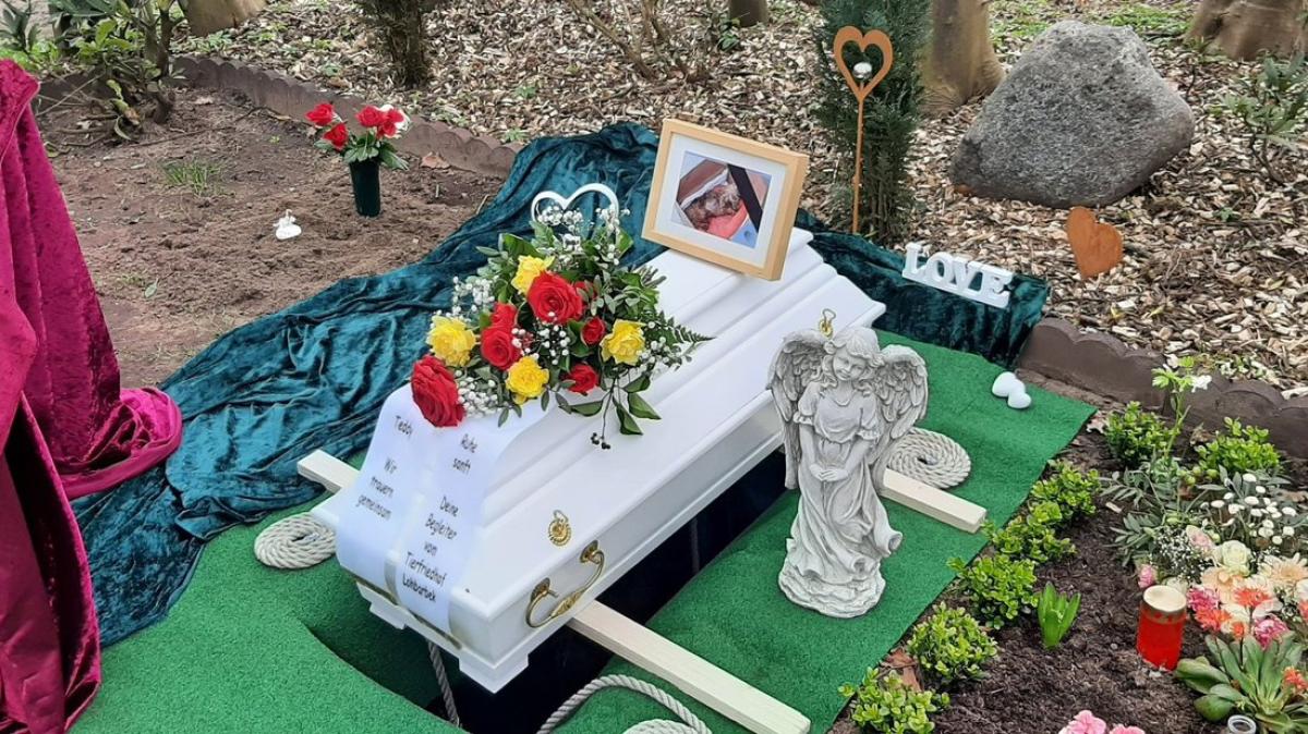Ausgesetzter Hund Teddy wurde auf Tierfriedhof Lohbarbek beerdigt