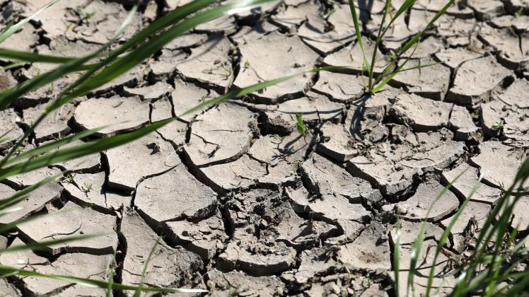 Dürre-Folgen für Grundwasser und Böden