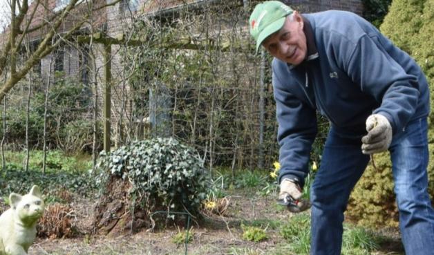 Uetersen Gartenarbeit im Oktober Das sagt ein Gärtnermeister