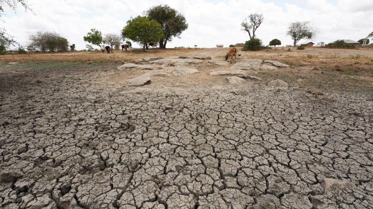 Weltweit treten durch den menschengemachten Klimawandel schwerwiegende Folgen auf. Dürre in Afrika
