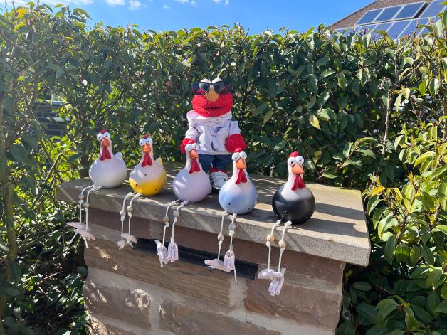 Elmo Aus Bissendorf