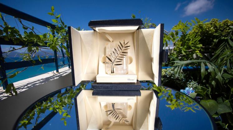 ARCHIV - Der Hauptpreis des Filmfestivals in Cannes: die Goldene Palme. Foto: Vianney Le Caer/Invision/AP/dpa