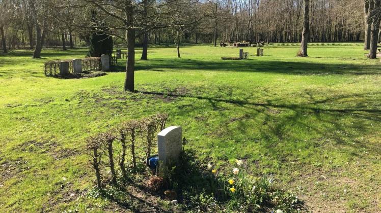 Neues Baugebiet in Lübeck Teil des Vorwerker Friedhofs wird