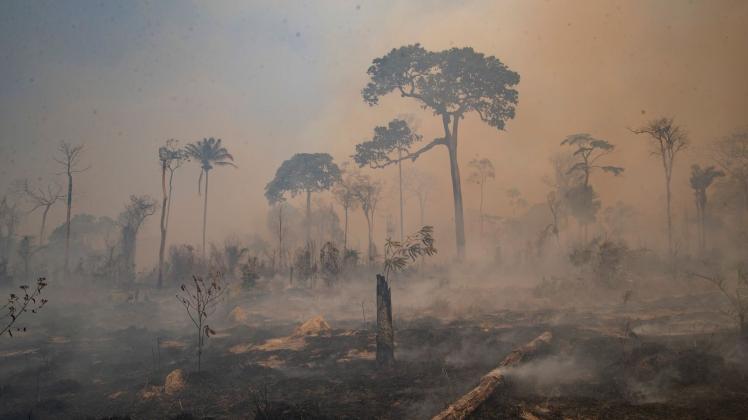 ARCHIV - Rauch steigt bei einem Brand im Amazonas-Gebiet auf. Foto: Andre Penner/AP/dpa