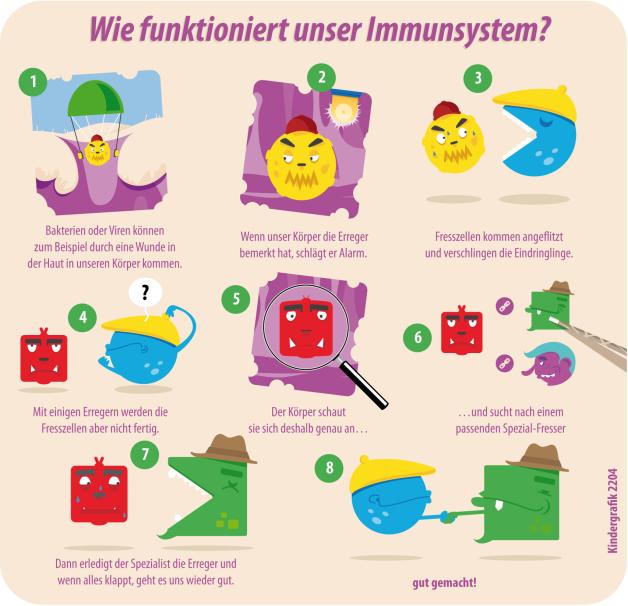 So funktioniert unser Immunsystem
