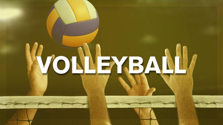 Hände am Netz im Kampf um den Volleyball