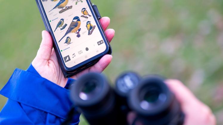 ARCHIV - In wenigen Tagen steht wieder die Mitmachaktion des NABU zur Vogelzählung an. In den letzten Jahren zeichnete sich der Trend einer abnehmenden Vielfalt der Vogelarten ab. Foto: Monika Skolimowska/dpa-Zentralbild/dpa ARCHIV - In wenigen Tagen steht wieder die Mitmachaktion des NABU zur Vogelzählung an. In den letzten Jahren zeichnete sich der Trend einer abnehmenden Vielfalt der Vogelarten ab. Foto: Monika Skolimowska/dpa-Zentralbild/dpa