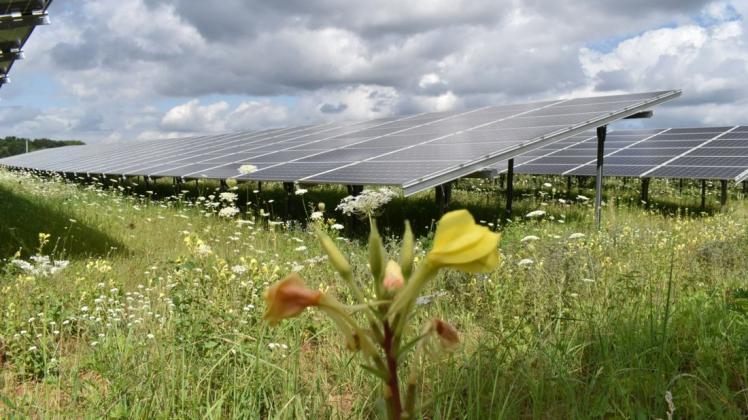 Die allgemeine politische Großwetterlage und insbesondere natürlich auch die klimapolitische Lage begünstigen die Errichtung von Solarparks.
