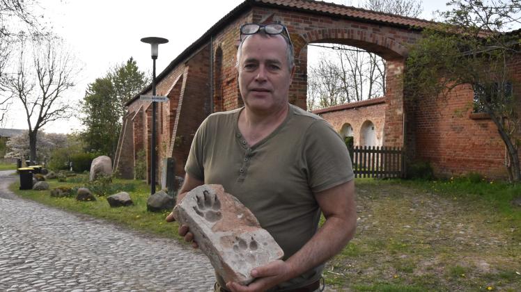 Tom Clauß  mit einem alten Ziegelstein aus Tempzin, in den der Abdruck der Pfote eines Wolfs verewigt ist.