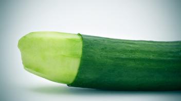 closeup of a cucumber with the skin of its tip removed depicting a circumcised male member (nito)