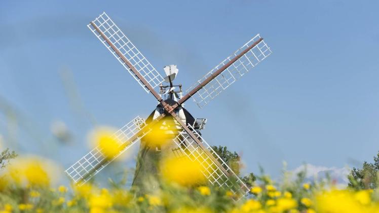 Windmühle in Oldsum.