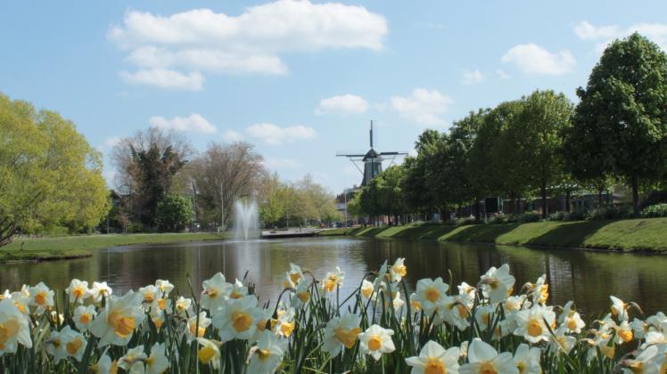 Frühling im Stadtpark Papenburg