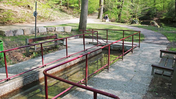 So schön ist das Wassertreten am HolsteTeich
