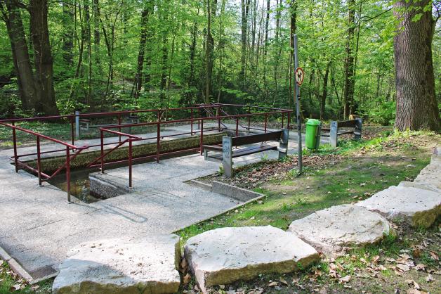 So schön ist das Wassertreten am HolsteTeich