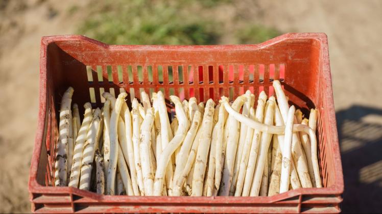 ARCHIV - Eine Kiste frischer Spargel steht auf dem Feld. Darin sind Stangen mit Gardemaß, aber auch Exemplare mit Formfehlern und Macken. Foto: Andreas Arnold/dpa/dpa-tmn