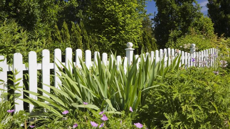 Weißer Holzlattenzaun vor Blumenbeet im landschaftlich gestalteten Vorgarten eines Wohnhauses Québ