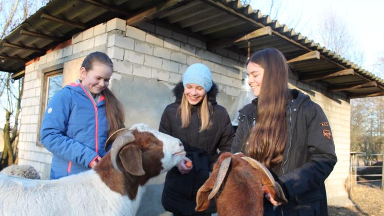 Narla und Merle aus Gammelin verstehen sich gut mit Arina aus der Ukraine
