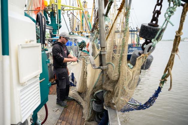 Krabbenfischer in Greetsiel auf der Suche nach dem „roten Gold“. Krabbenfischer in Greetsiel auf der Suche nach dem „roten Gold“.