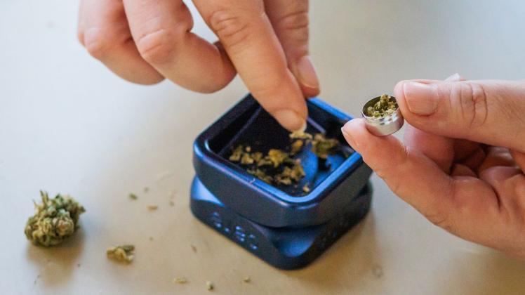 ARCHIV - Cannabis wird für den Konsum vorbereitet - hier zu medizinischen Zwecken. Foto: Philipp von Ditfurth/dpa