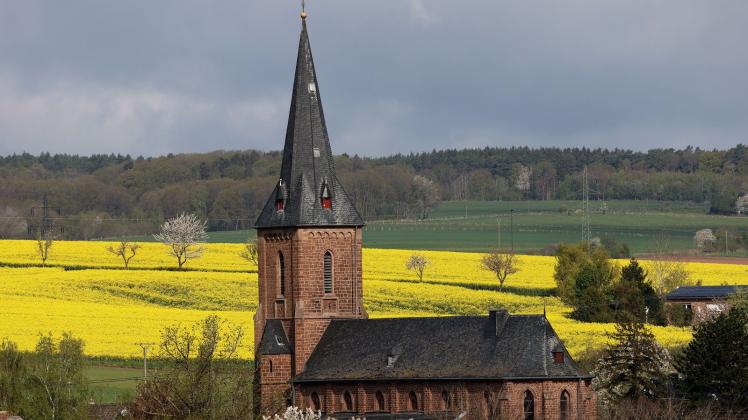 Ein Rapsfeld blüht hinter der St. Agnes-Kirche in Bleibuir (Kreis Mechernich). Foto: Oliver Berg/dpa/Archivbild