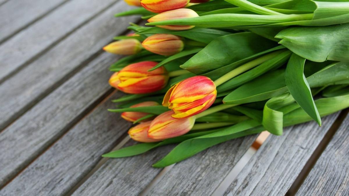 Geschenk MuttertagDiese Blumenläden auf Sylt haben Sonntag offen SHZ