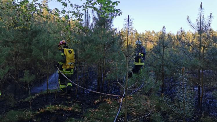 Die Feuerwehrleute gingen beim Waldbrand im Amt Boizenburg Land auch direkt gegen die Flammen vor.