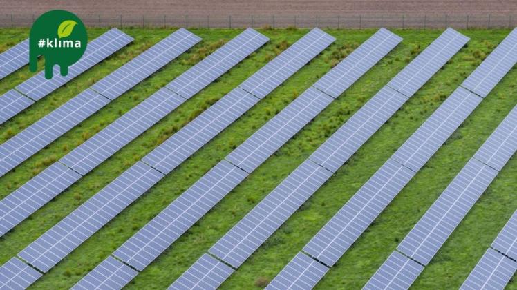 Solarparks brauchen viel Platz. Und eben den gibt es in Tornesch kaum noch – insbesondere, weil eine Reihe naturschutzfachlicher Aspekte für die Standortfrage von Photovoltaik-Freiflächenanlagen einzuhalten sind.