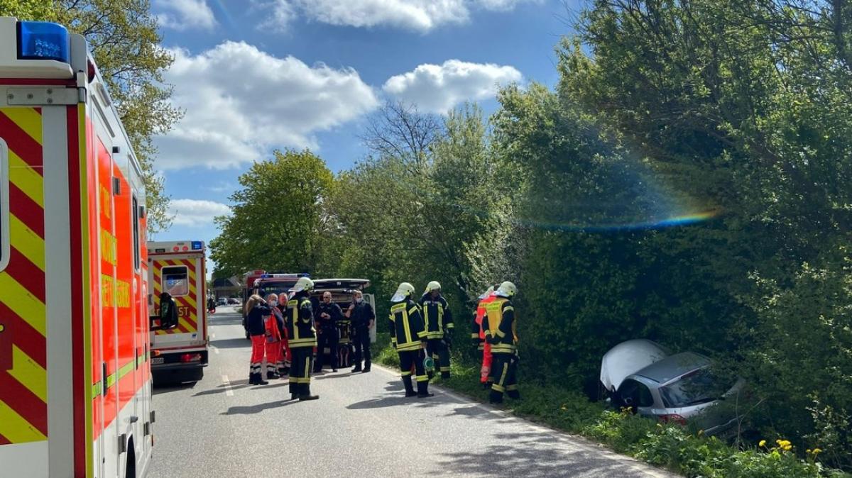 Fahrer Verstirbt Bei Unfall Auf Der B208 Bei Bad Oldesloe | SHZ