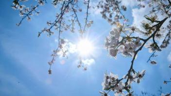 Die Sonne war im April in Stormarn wetterbestimmend.