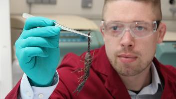 Tim Lüddecke vom Fraunhofer IME in Gießen erforscht Bestandteile von Tiergiften wie Spinnen Skorpione Schnecken