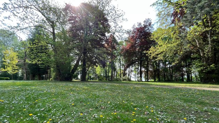 Der Stadtpark von Boizenburg ist ein Ort der Entspannung. Auch das Gezwitscher zahlreicher Vögel trägt hierzu bei.
