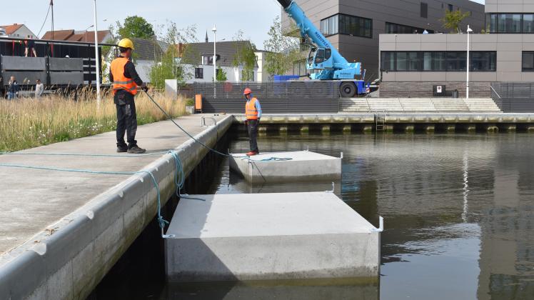 Die ersten Pontons für die neue Schwimmsteganlage im Ludewigbecken in Rostocker Stadhafen wurden am Dienstag zu Wasser gelassen. 