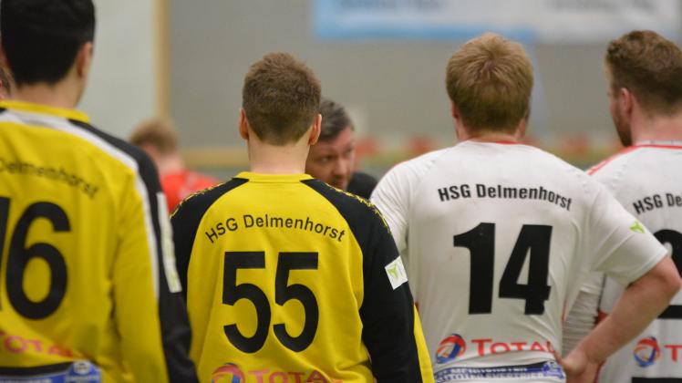 HSG Delmenhorst Symbol Handball
