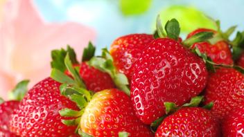Close-up of fresh strawberries (Selective Focus, Focus on the strawberry on the right) , 2238737.jpg, strawberry, fruit,