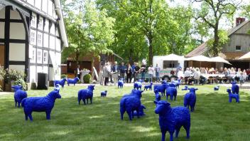 Während die blaue Schafsherde friedlich vor dem Wöhlehof auf Kunstrasen „graste“, wurde ein buntes Programm für die Besucher geboten.