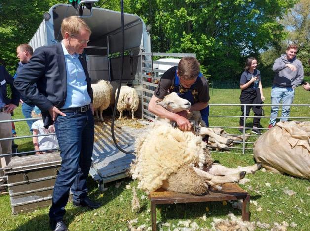Schleswig: Gottorfer Landmarkt am 15. Mai