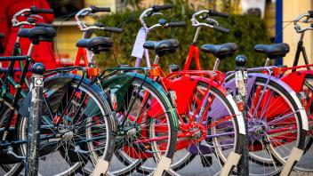 ARCHIV - Die Preise für Fahrräder und Zubehör sind im vergangenem Jahr enorm gestiegen. Foto: Sina Schuldt/dpa