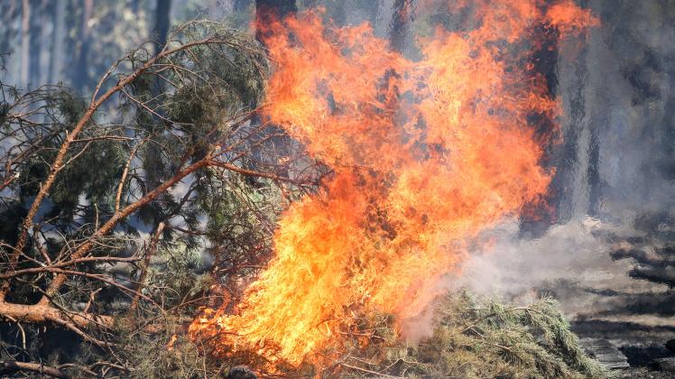 Waldbrand