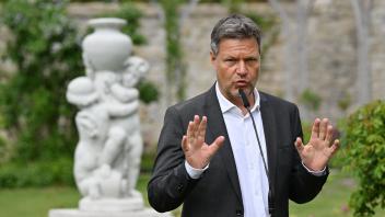 Bundeswirtschaftsminister Robert Habeck (Bündnis90/Die Grünen) spricht im Garten von Schloss Ettersburg zur Presse. Foto: Martin Schutt/dpa