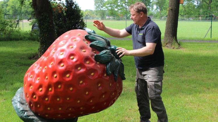Erdbeeren pflücken auf dem Hof Anneken in Papenburg: So viel wird das Kilo kosten