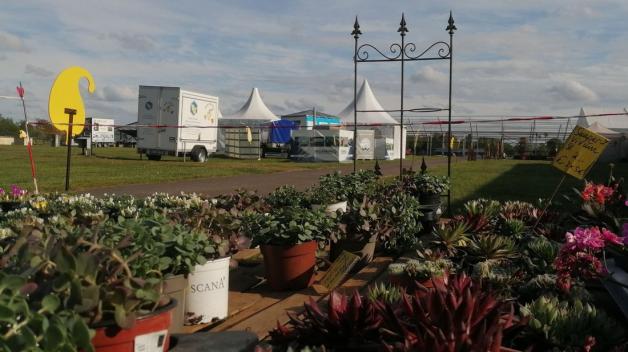 So schön wird die Gartenmesse „Flora“ 2022 in Rendsburg SHZ