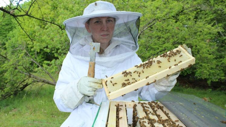 Imkerin Susanne Lottermoser aus Kleinvollstedt ist zufrieden. Die Bienen ihrer Völker sind aktiv und sammeln derzeit reichlich Nektar.